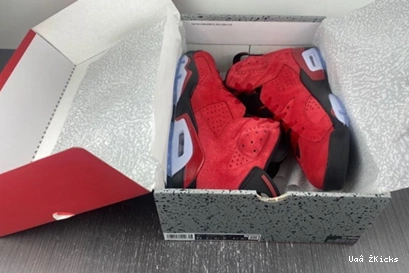 6 6010 Functional Retro CT8529- 610 Jordan 1027